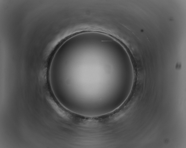 X0000096661503200802051206