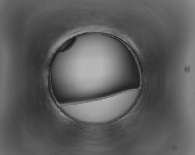 X0000096661504200802051206