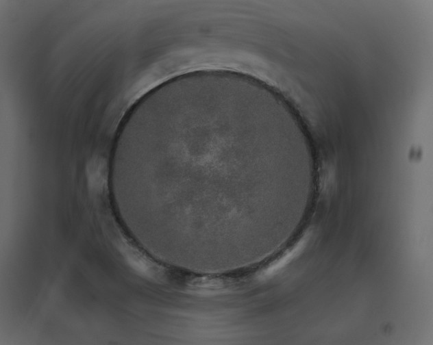 X0000096661505200802051206
