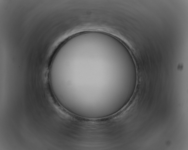 X0000096661507200802051206