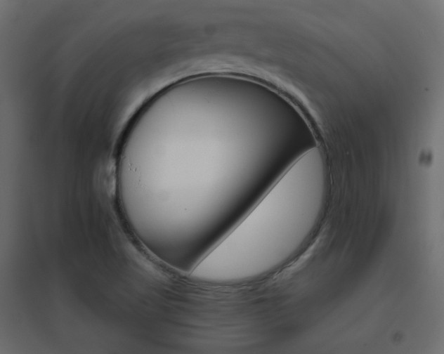 X0000096661509200802051206
