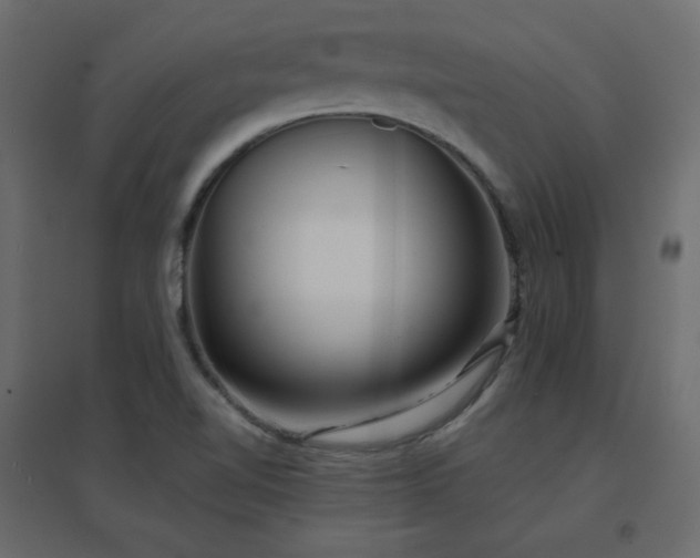 X0000096661510200802051206