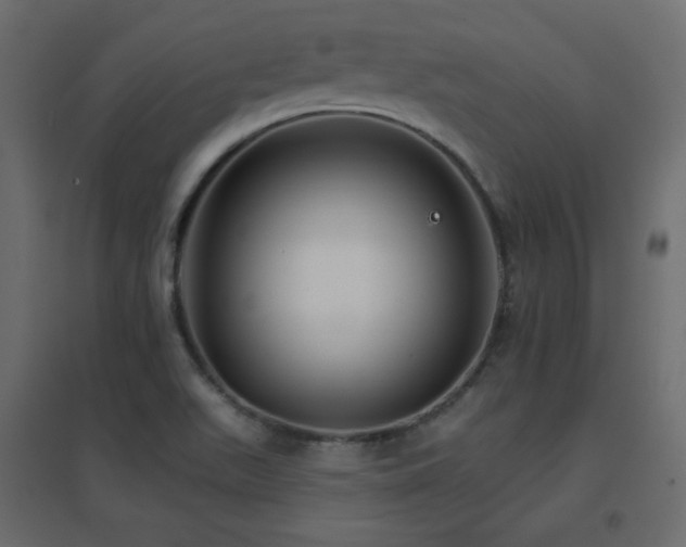 X0000096661511200802051206