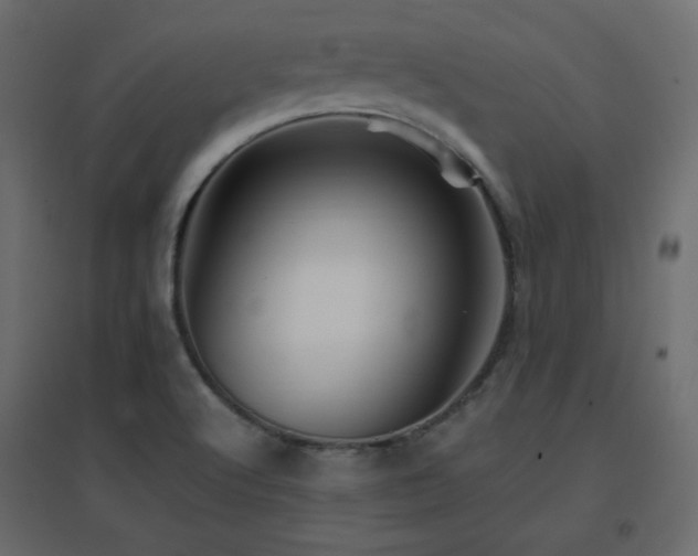X0000096661512200802051206