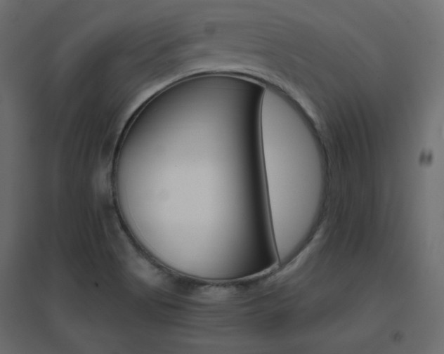 X0000096661513200802051206