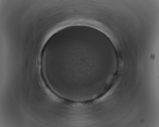 X0000096661515200802051206