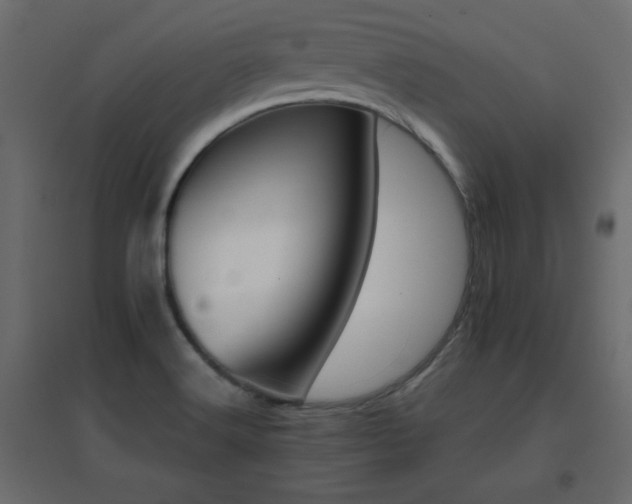 X0000096661516200802051206