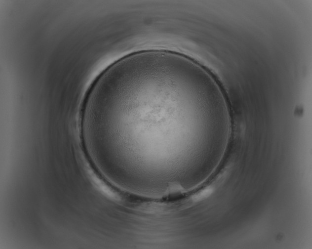 X0000096661517200802051206