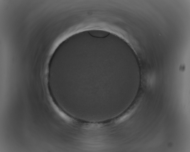 X0000096661519200802051206
