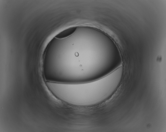 X0000096661520200802051206