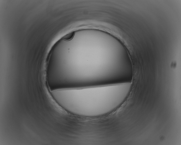X0000096661522200802051206