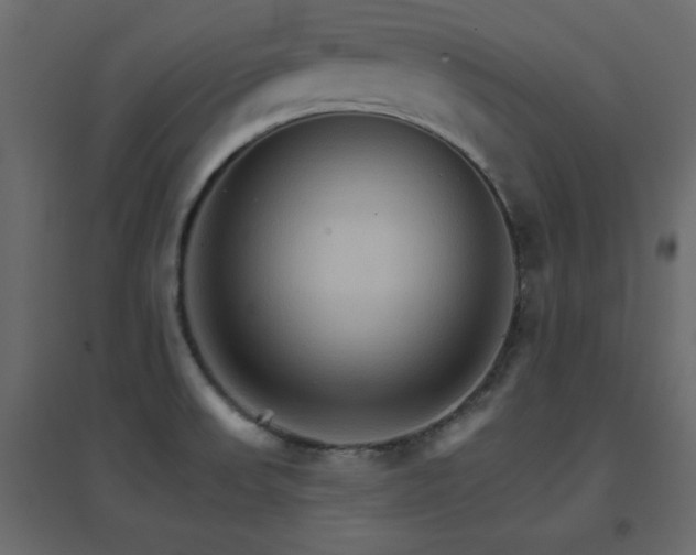 X0000096661523200802051206