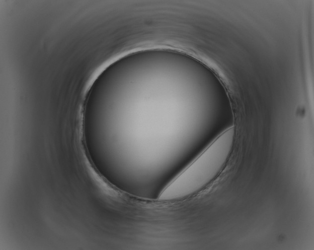 X0000096661524200802051206