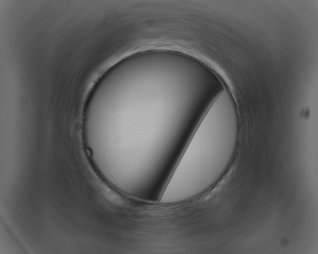 X0000096661525200802051206