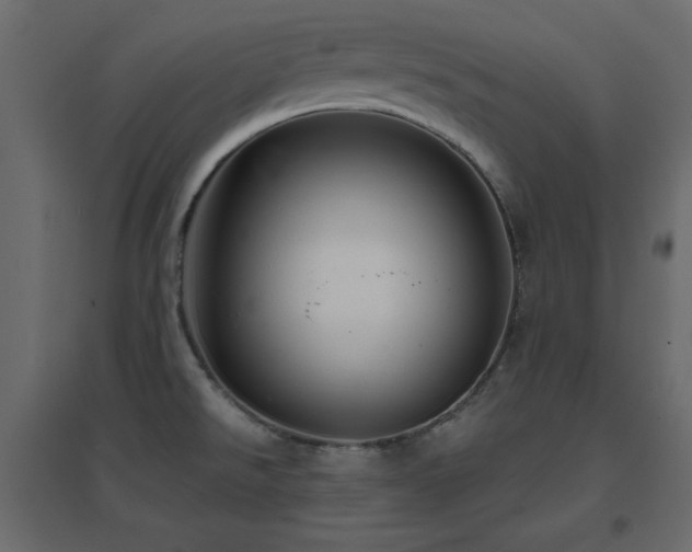 X0000096661526200802051206