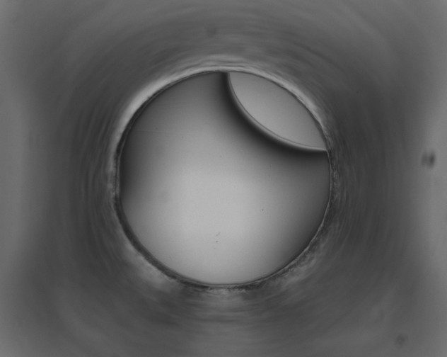 X0000096661527200802051206
