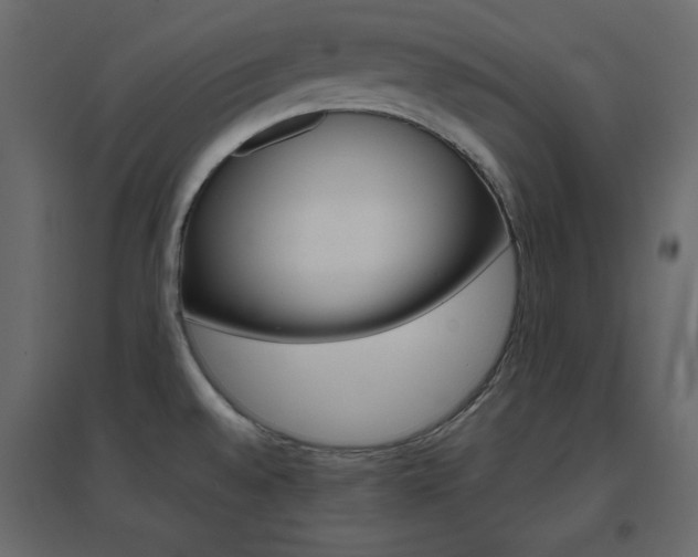 X0000096661528200802051206