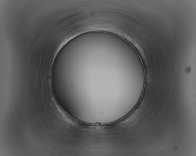 X0000096661529200802051206