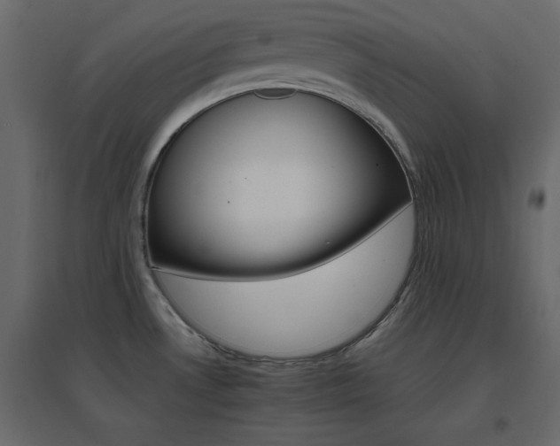 X0000096661530200802051206