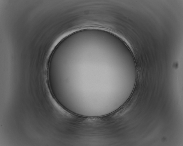 X0000096661531200802051206