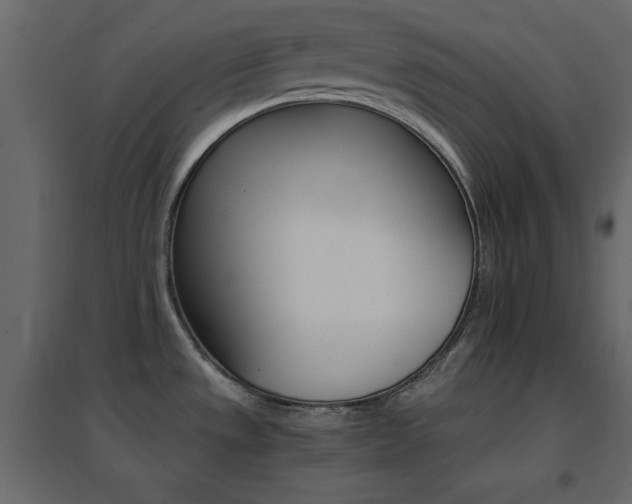 X0000096661533200802051206