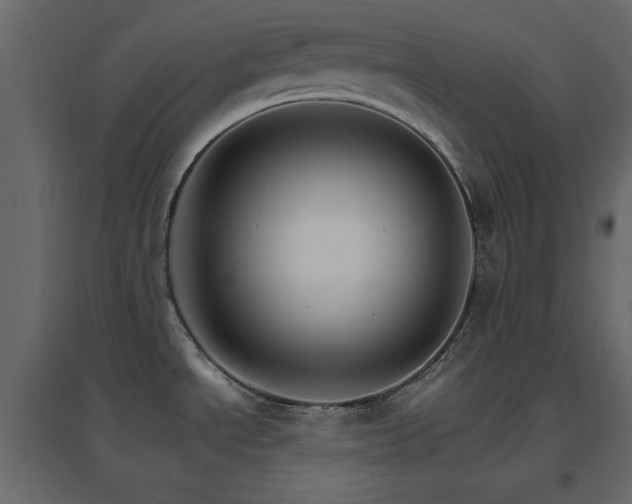 X0000096661534200802051206