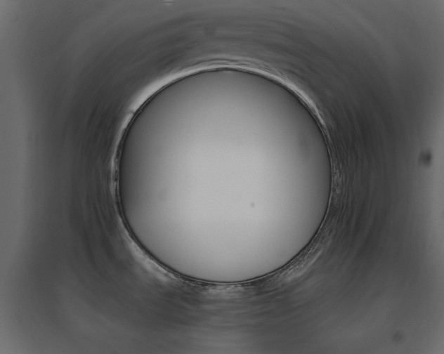 X0000096661535200802051206