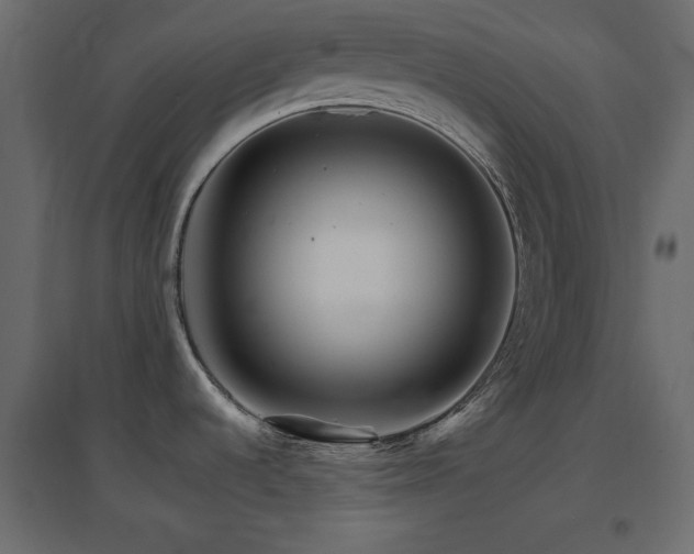 X0000096661536200802051206