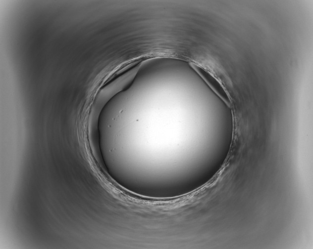 X0000096660001200802121140