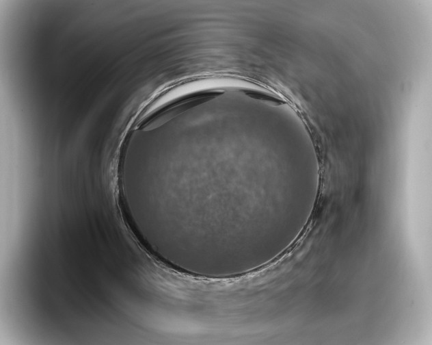 X0000096660002200802121140