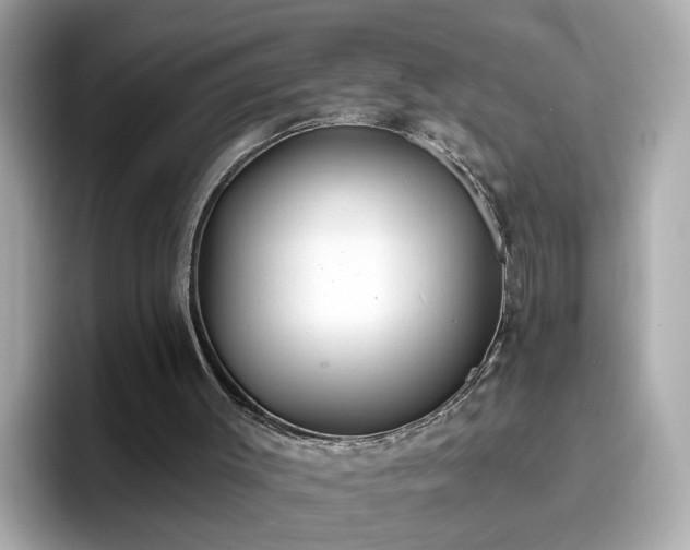 X0000096660003200802121140