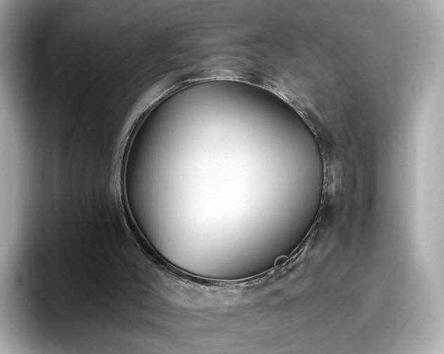 X0000096660004200802121140