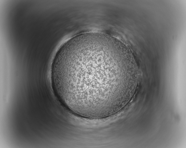 X0000096660006200802121140