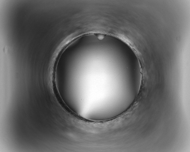 X0000096660007200802121140