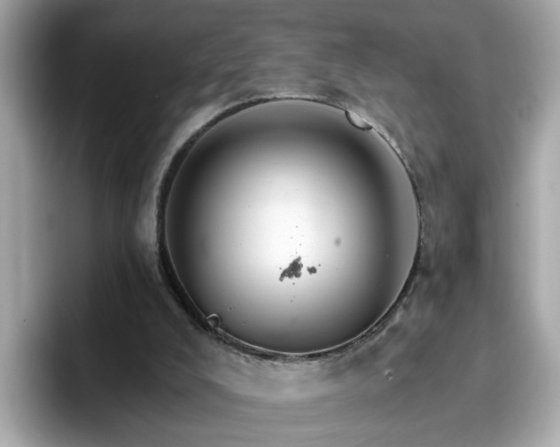 X0000096660008200802121140