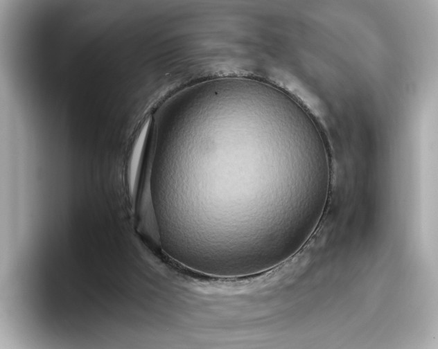 X0000096660009200802121140