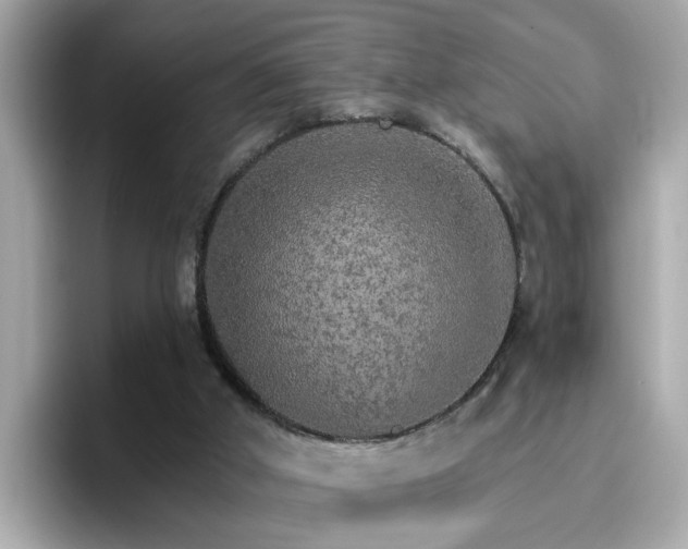 X0000096660010200802121140