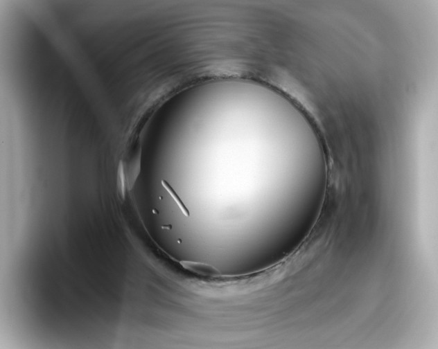 X0000096660013200802121140