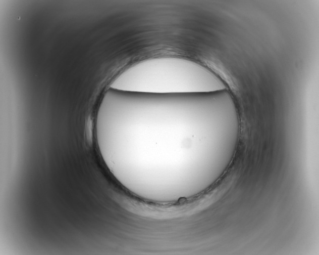 X0000096660014200802121140