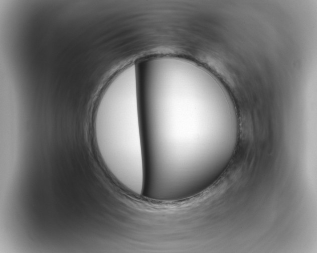 X0000096660015200802121140