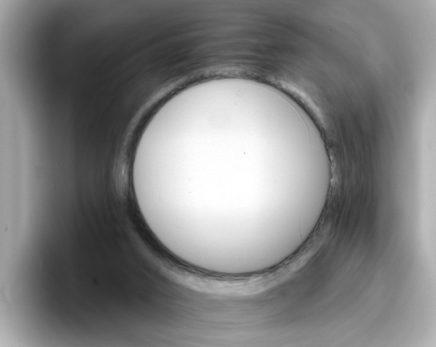 X0000096660016200802121140