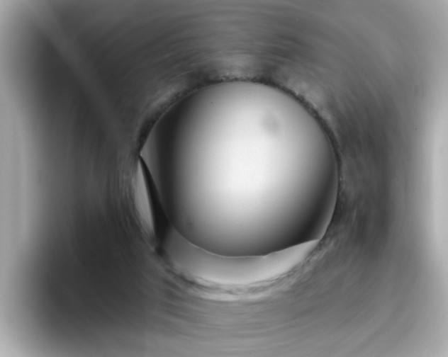 X0000096660017200802121140