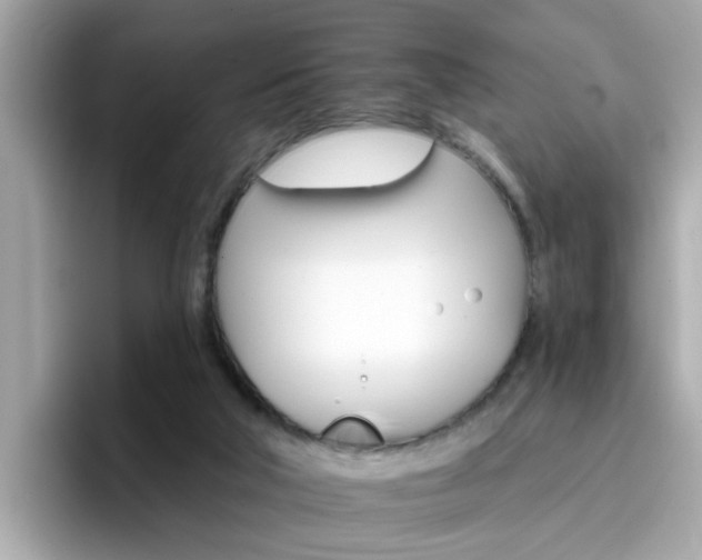 X0000096660018200802121140