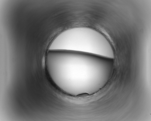 X0000096660019200802121140