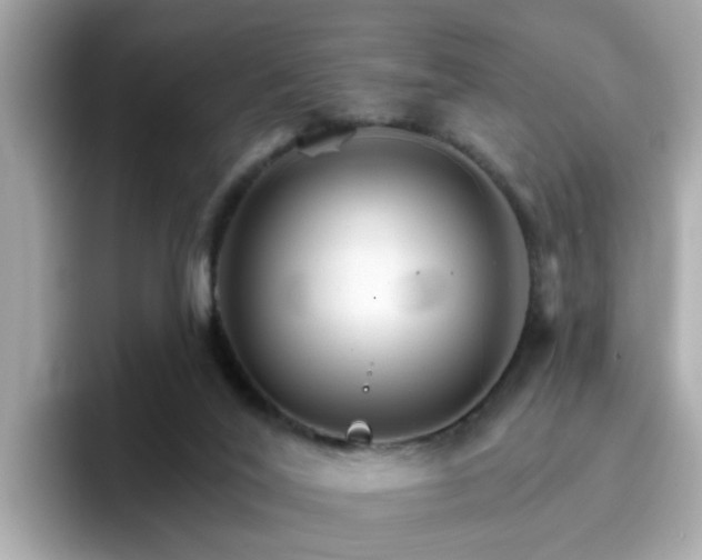 X0000096660020200802121140