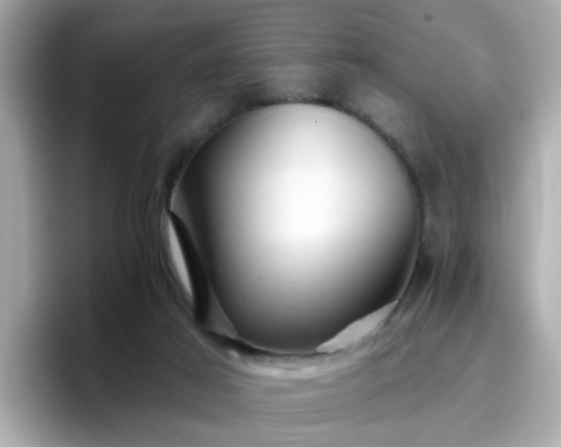 X0000096660021200802121140