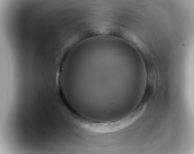 X0000096660023200802121140