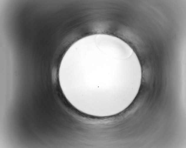 X0000096660024200802121140