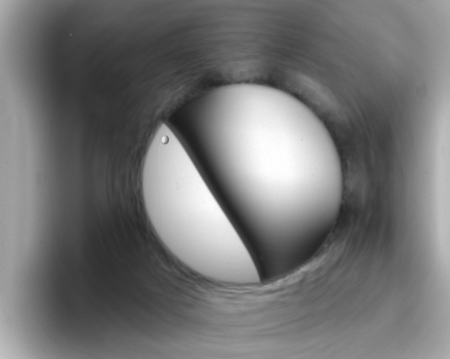 X0000096660025200802121140