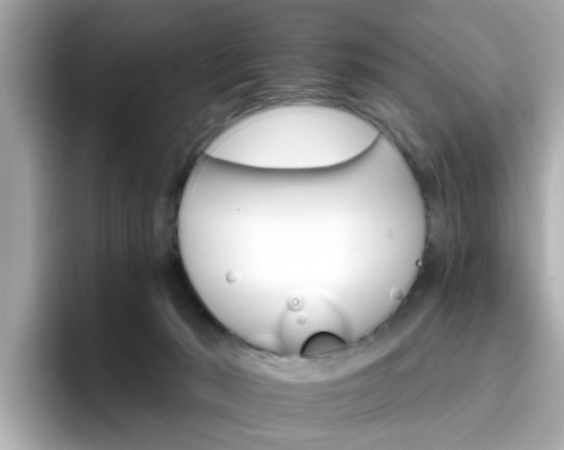 X0000096660030200802121140